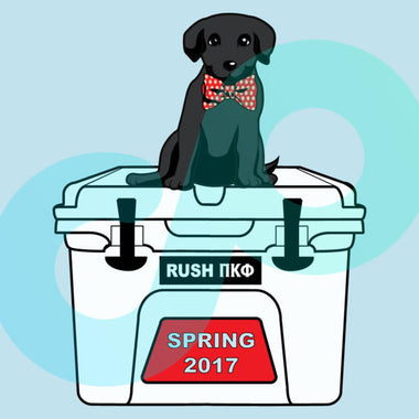 Yeti Puppy Spring Rush