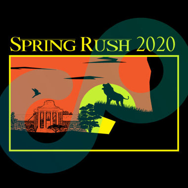 Lion King Spring Rush