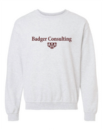 Wisconsin Badger Consulting Gildan Shirt