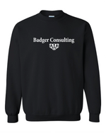 Wisconsin Badger Consulting Gildan Shirt