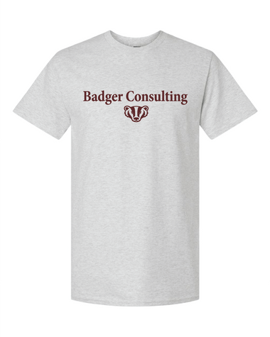 Wisconsin Badger Consulting Gildan Shirt