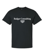 Wisconsin Badger Consulting Gildan Shirt