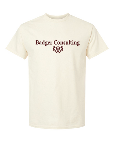 Wisconsin Badger Consulting Jerzees Shirt