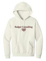 Wisconsin Badger Consulting Jerzees Shirt