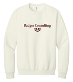 Wisconsin Badger Consulting Jerzees Shirt