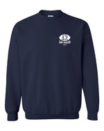 University of Illinois DZ Fall 2026 Dads Day Shirt
