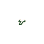 USF NSSLHA Embroidered Graduation Stole