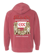 UD Theta Chi Fall 2026 Parents Weekend Hoodie