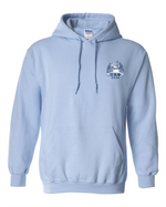 Delaware Pi Kapp Fall 2026 Mountain Weekend Hoodie
