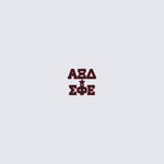 USC AXiD Fall 2026 Homecoming Shirt