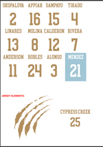 Cypress Creek Indoor Volleyball Jerseys Fall 2025