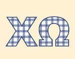 Delaware Chi Omega 2026 Make-A-Wish Hoodie