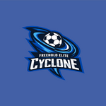 Freehold Soccer Hooded Sweatshirt