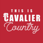 Lord Botetourt High School Competition Cheer Team Shirts (BULK)