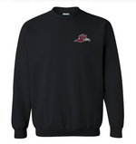 Ramapo College Fall 2026 Cheer Team Crewneck