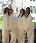 Delaware Panhellenic Fall 2026 Circle of Sisterhood Fundraiser Mockneck