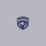 Freehold Soccer Sapphires Fall 2026 Hoodie