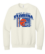 UF DPhiE X AEPi Fall 2026 Homecoming Crewneck